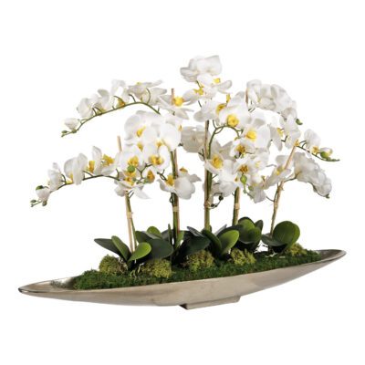 White Phal Orchids in Silver Denver Boat - 251200