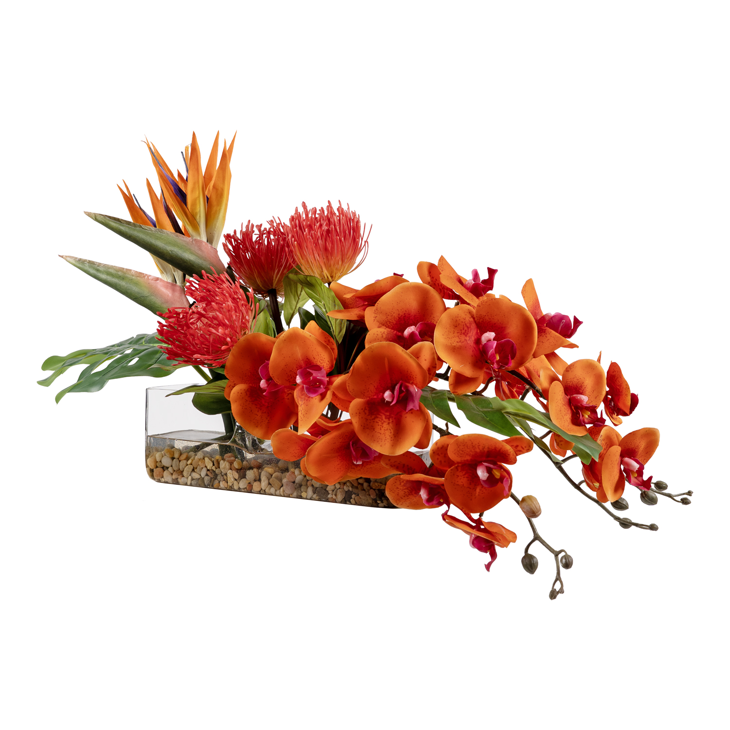 Red/Orange Orchids, Bird of Paradise, Philo, Pin Cushion in Aquaria Planter – 251201