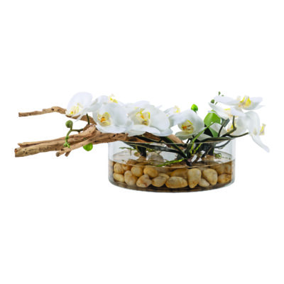 White Phal Orchids & Ghostwood in Lowry Vase - 251204