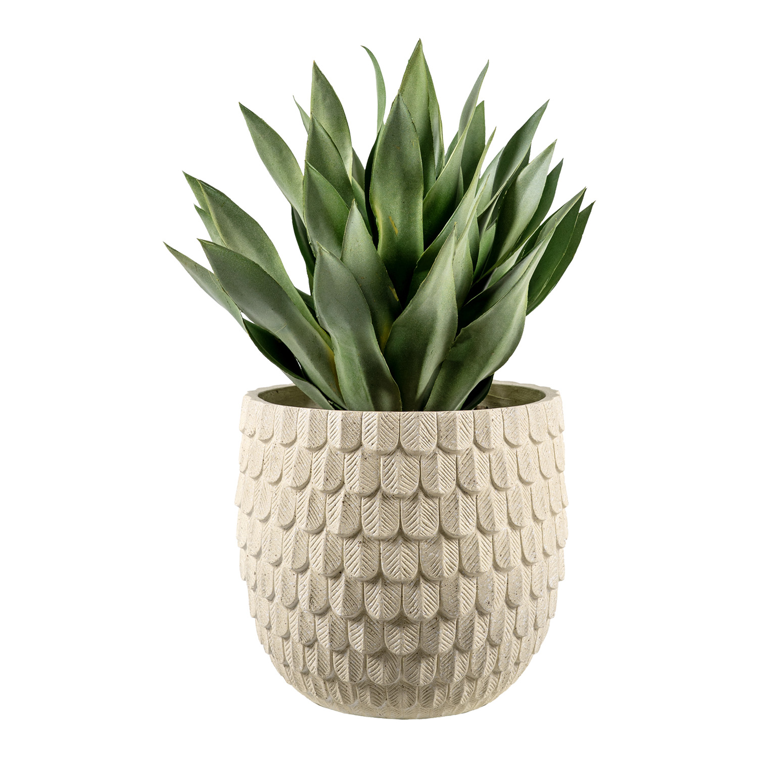 Desert Succulent in Veranda Planter – 325970