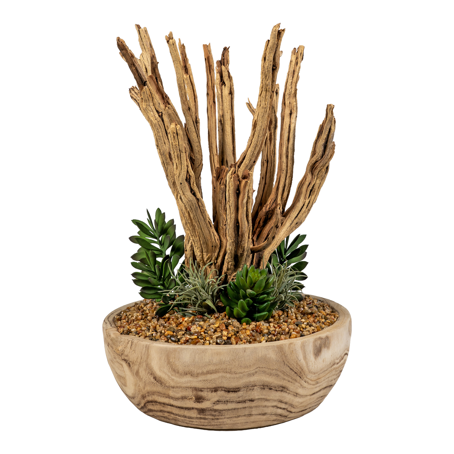 Assorted Succulents & Ceanothus in Ambrose Bowl - 267000