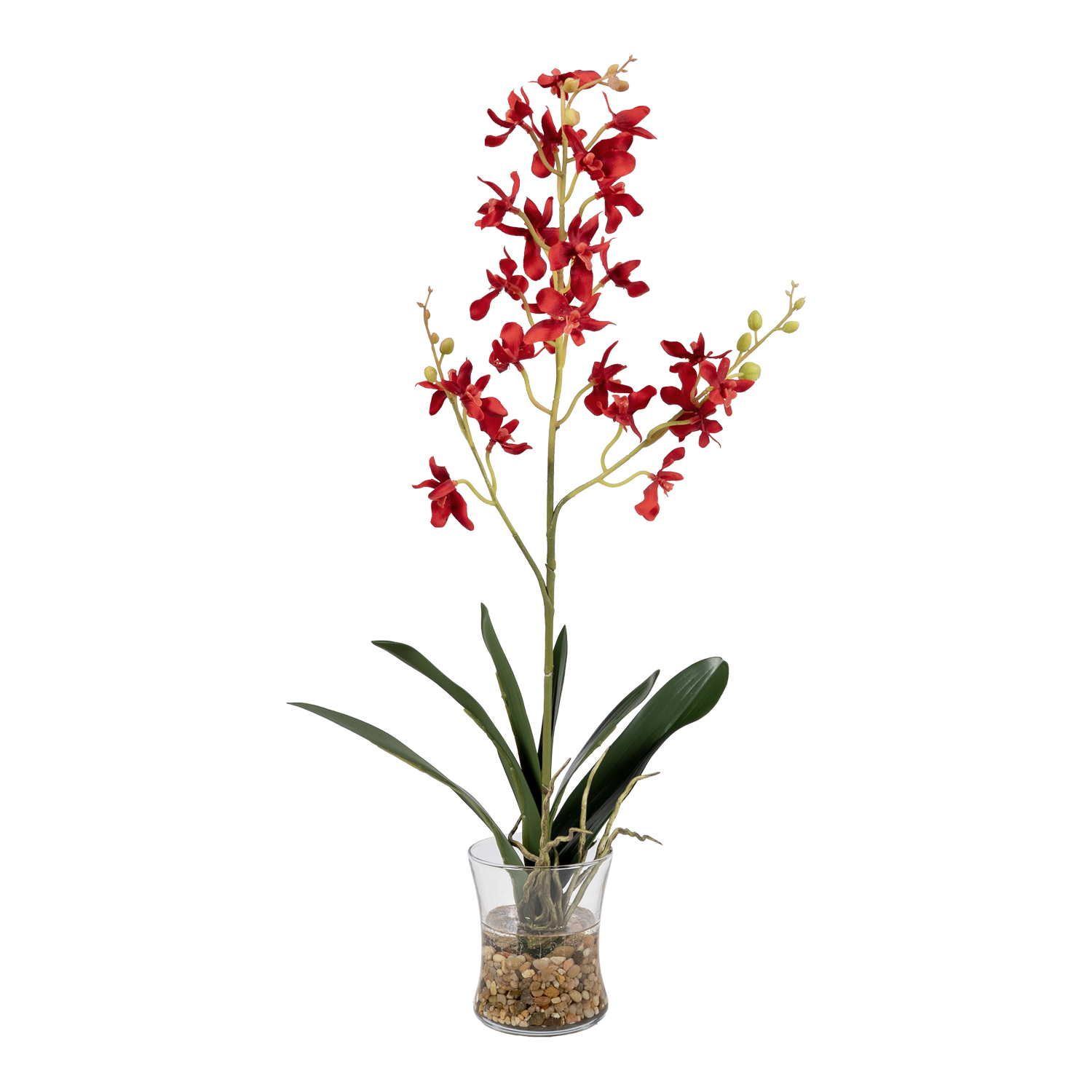 Red Dendrobium Orchids in Glass Vase - 7267000