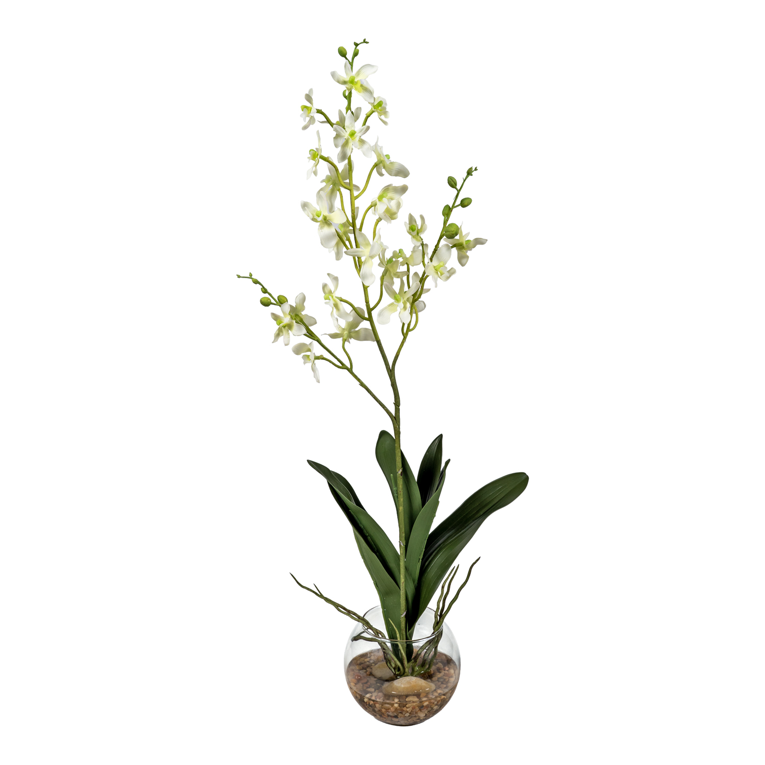 White Dendrobium Orchids in Glass Bowl - 7267001