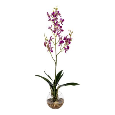 Purple Dendrobium Orchids in Glass Bowl - 7267002