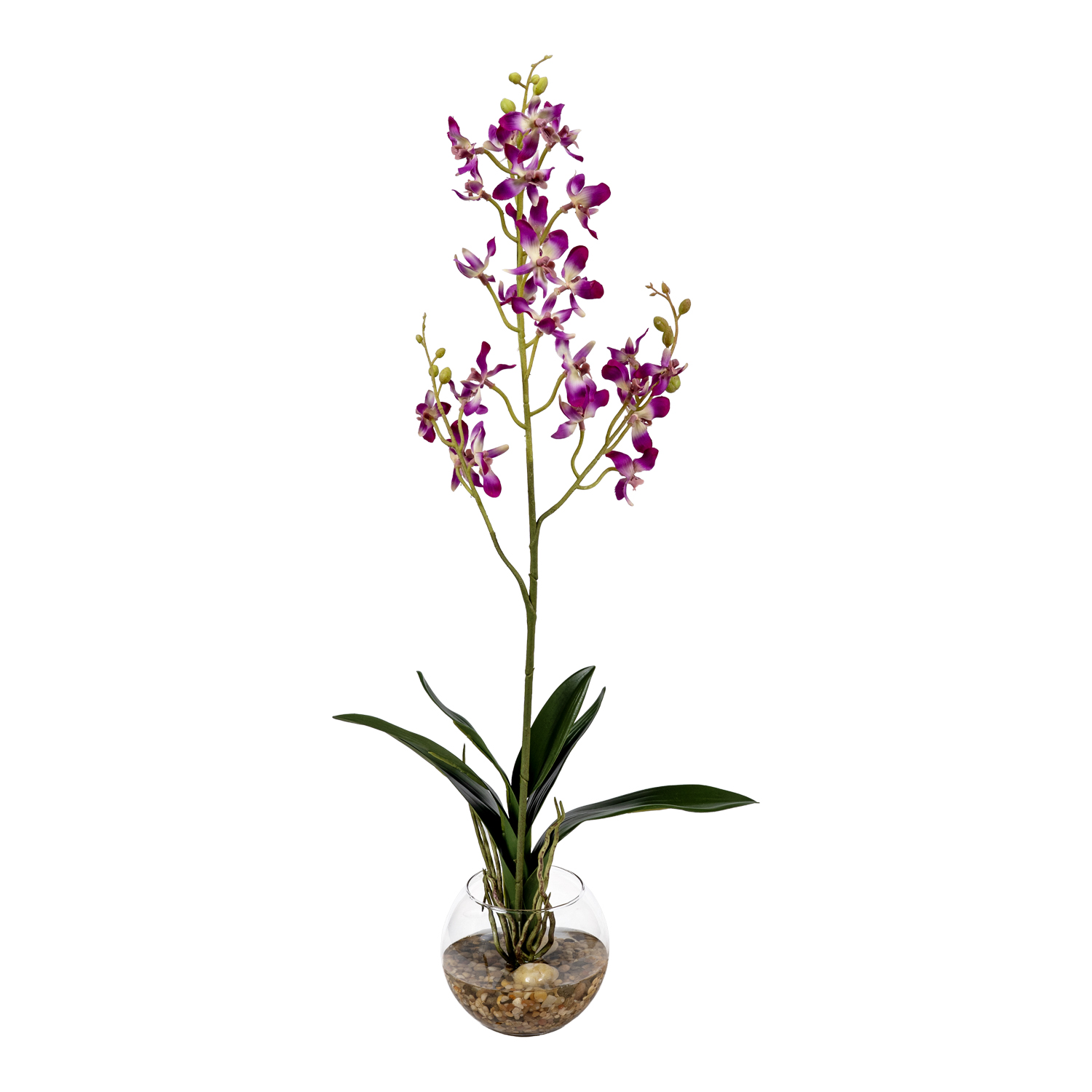 Purple Dendrobium Orchids in Glass Bowl - 7267002