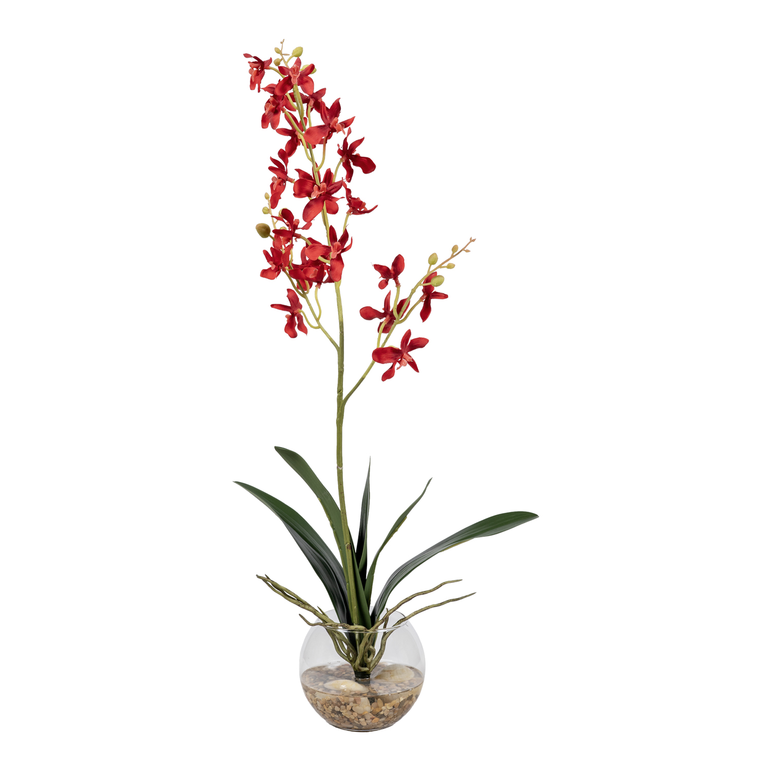 Red Dendrobium Orchids in Glass Bowl - 7267003