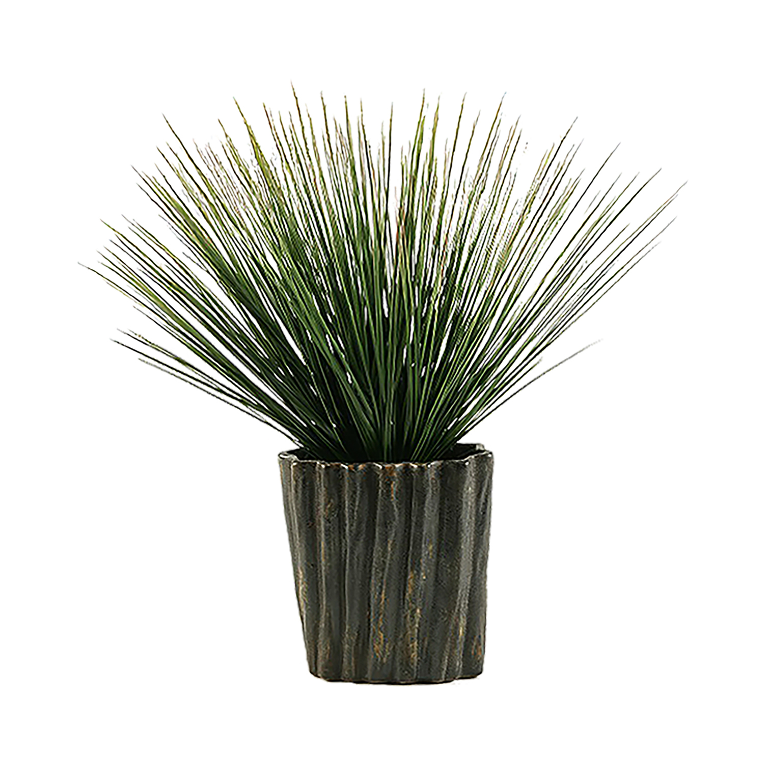 Green/Brown Onion Grass in Ripple Planter