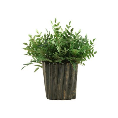 Green Locust Spray in Ripple Planter - Medium - 156029