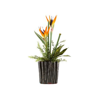 Bird of Paradise in Ripple Planter - Medium - 174022