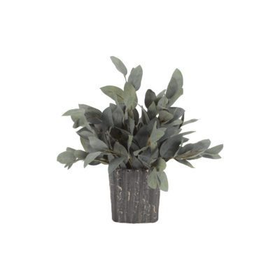 Grey/Green Eucalyptus in Ripple Planter - Small - 189067