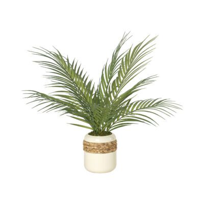 Areca Palm Fronds in Gemma Planter - Small - 212032