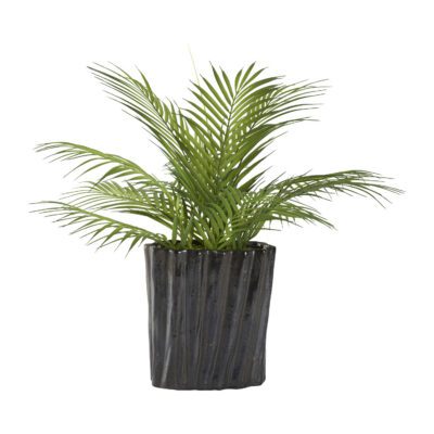 Areca Palm Fronds in Ripple Planter