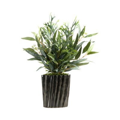 Staghorn Fern & Eucalyptus in Ripple Planter