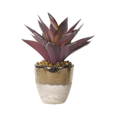 Lavender Aloe Plant in Plateau Vase - 184042-S