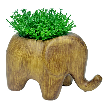 Grass in Eelephant Planter - 196220
