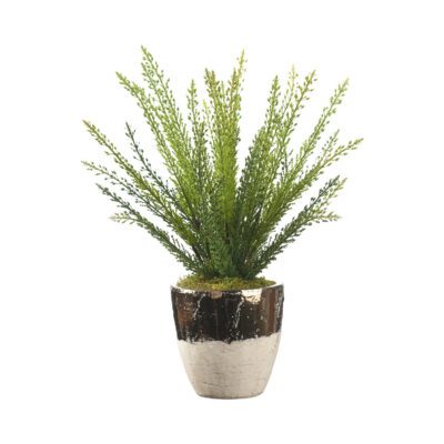 Heather Fern in Plateau Vase - 212285