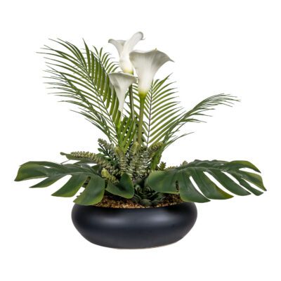 Calla Lily, Split Leaf Philo, Areca Palm, Jade, Donkey Tail & Echeveria in Black Simply Low Bowl - 269013