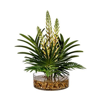 Agave Flower Spray Green, Hawaiian Palm Leaf & Orchid Leaf in Low Glass Bowl - 269021
