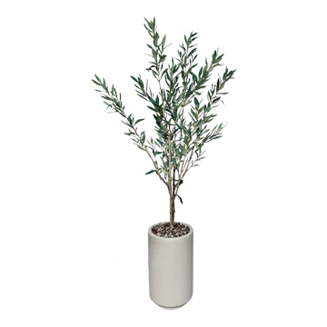Olive Tree in Rainey Planter - 1064-3107