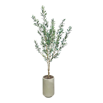 Olive Tree in Rainey Planter - 1065-3108