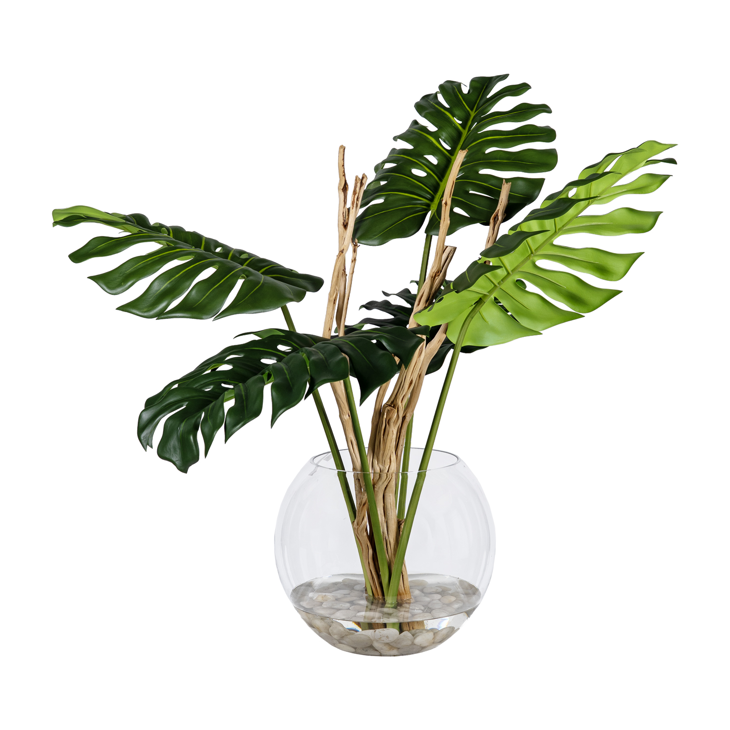 Monstera Leaf and Tigerwood in Glass Bubble Bowl - 269024