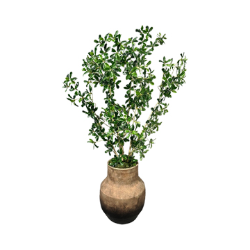 Shady Lady Branches in Desert Bloom Planter - 269027