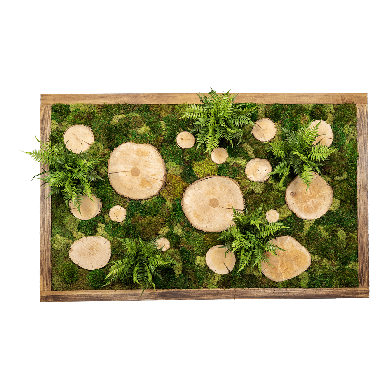 Moss Wall with Wooden Rounds, Assorted Moss, and Leather Fern - 326905