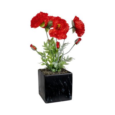 Poppies in Black Square Marble Planter - 7269002