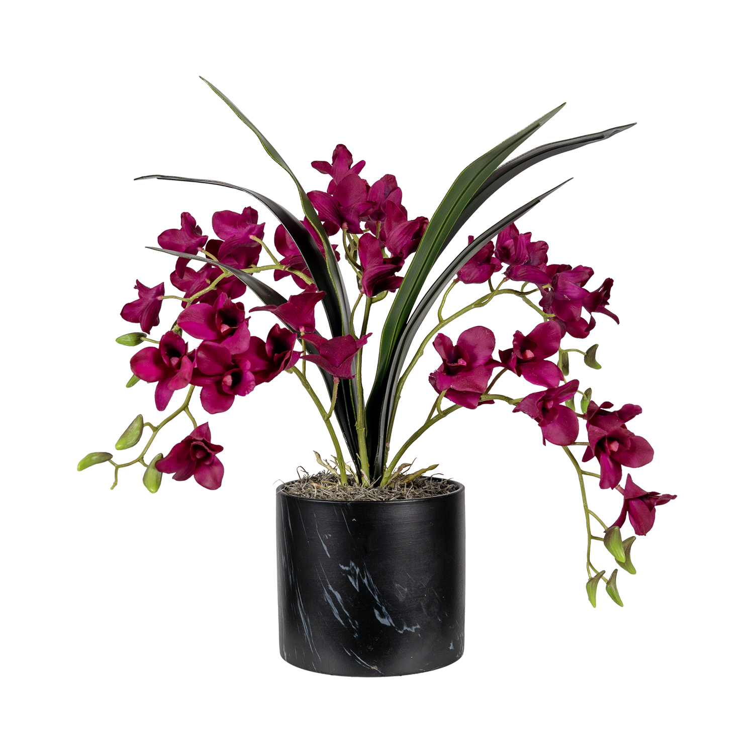 Dendrobium in Black Round Marble Planter - 7269003