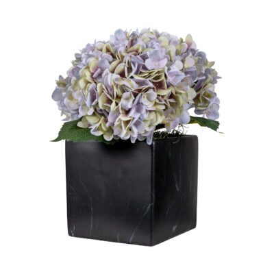Hydrangeas in Black Square Marble Planter - 7269004