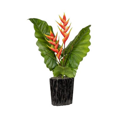 Philo Leaves with Heliconia in Large Ripple Planter - 7269012