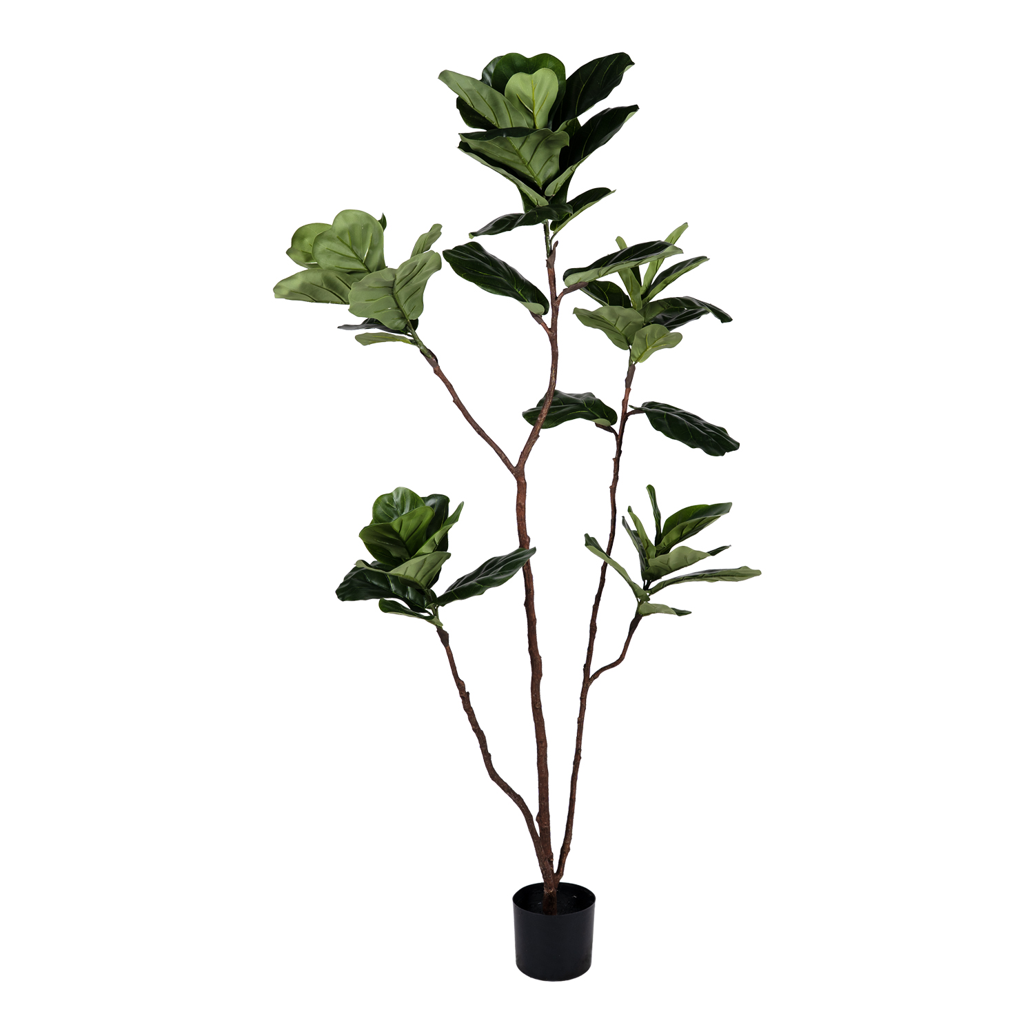 Fiddle Leaf Tree 6' - TL1063