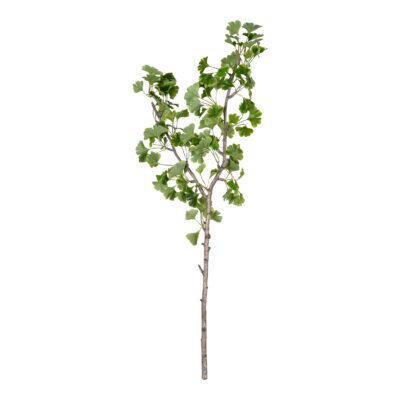 Ginkgo Branch - TL1074